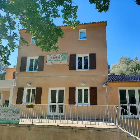 Hotel De Tesa *